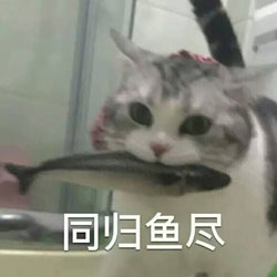 同归于尽
