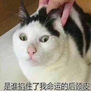 量子特攻