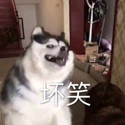 坏笑