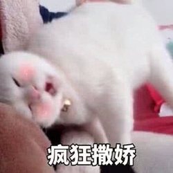 撒娇