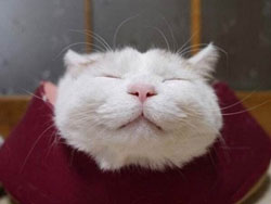 闭眼