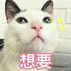 买
