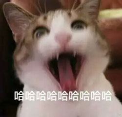哈哈哈
