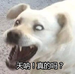 真的吗