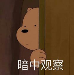暗中观察