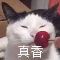 表情包
