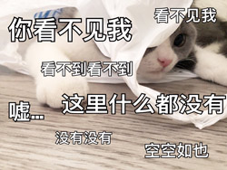 看不见