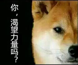 力量