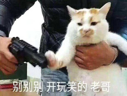 玩笑