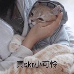 《神圣之门》