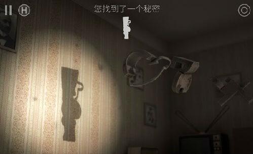 投影寻真