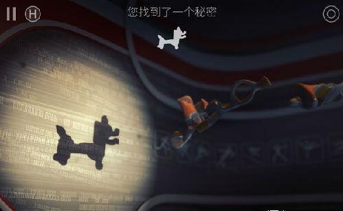 投影寻真