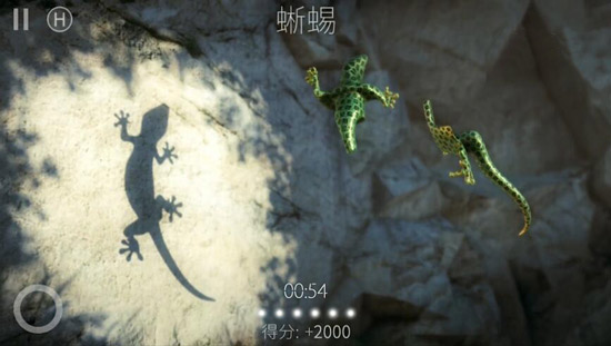 投影寻真