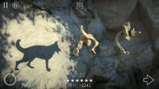 投影寻真