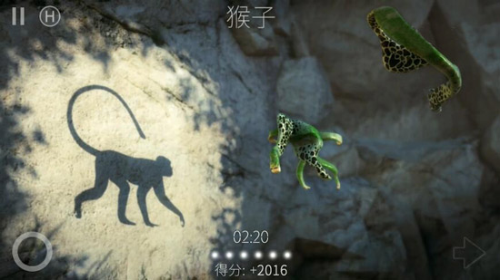 投影寻真