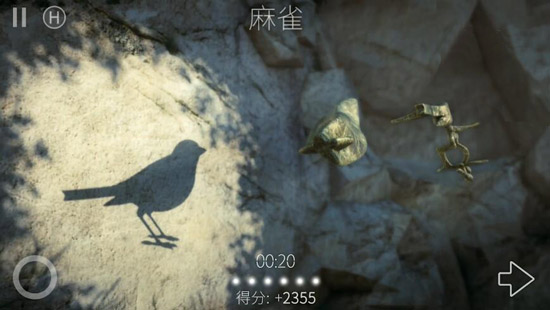 投影寻真