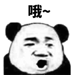 哦