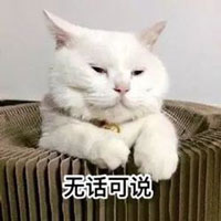 表情包