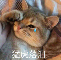 表情包