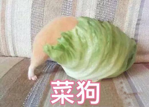 下饭
