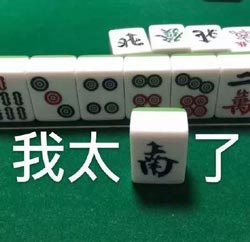 南