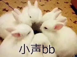 小声BB