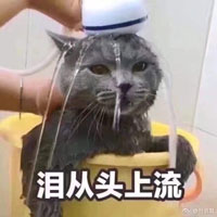 表情包
