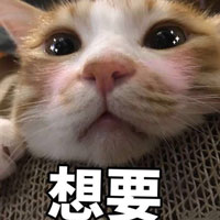 表情包