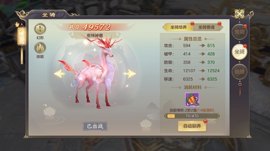 小掌门