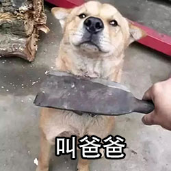 叫爸爸