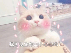 近期热游信息大盘点