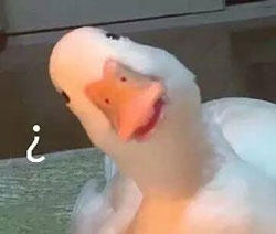 疑问