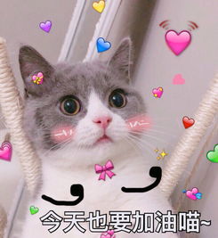 加油