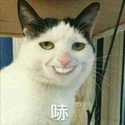 嘿嘿