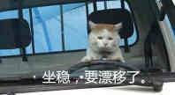 表情包