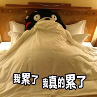 表情包