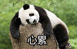 心累