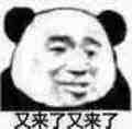 表情包