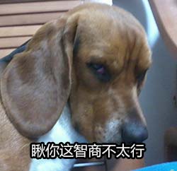 智商