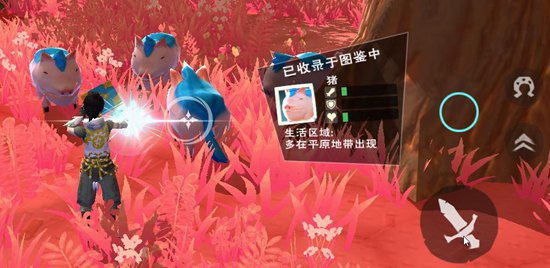 创造与魔法有了图鉴玩法 捕捉宠物更方便啦