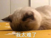 我太难了表情包