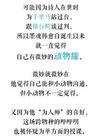 动物