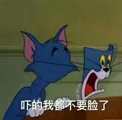 猫和老鼠真人电影