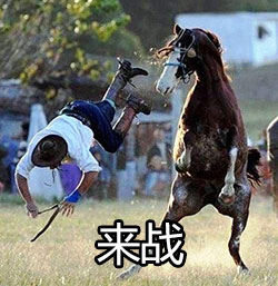 来战