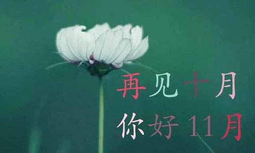 十一月