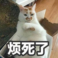 表情包