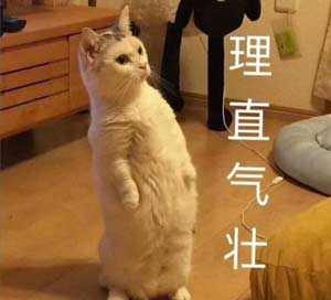 理直气壮