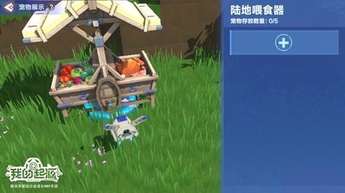我的起源