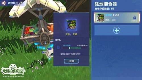 我的起源