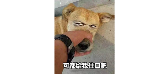 国行NS
